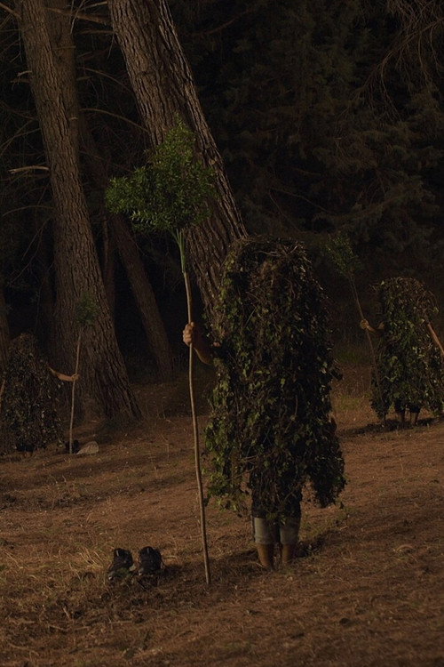 Movie poster for Autotrofia (2020)