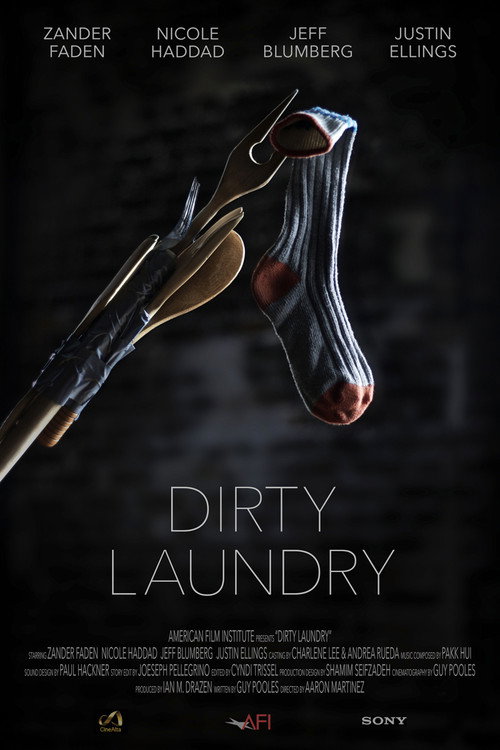 Movie poster for Dirty Laundry (2014)