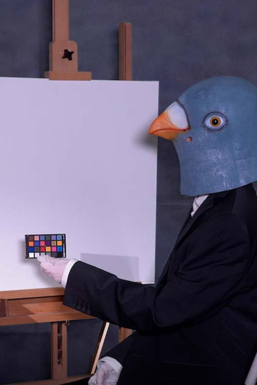 Movie poster for Birdsaver Report Volume 2 (2021)