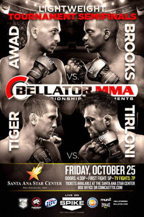 Movie poster for Bellator 105 (2013)