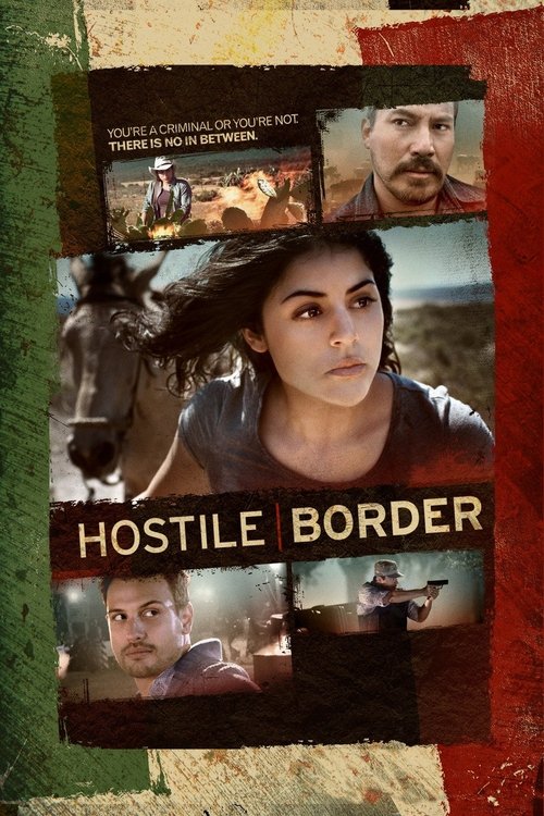 Movie poster for Hostile Border (2015)