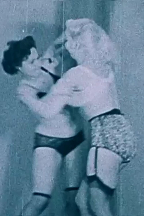 Movie poster for Negligee Fight