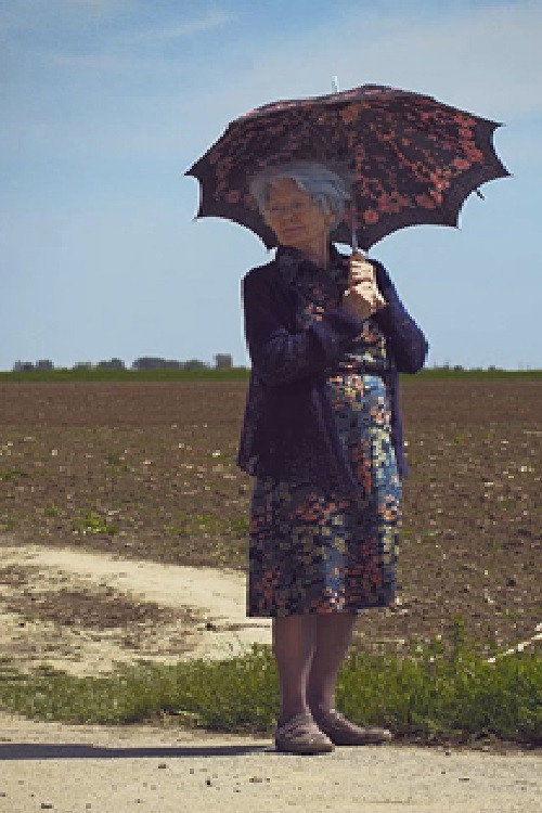 Movie poster for Granny Wants to Go Home (2014)