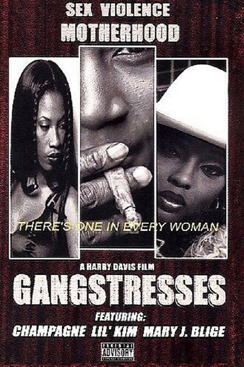 Movie poster for Gangstresses (2000)