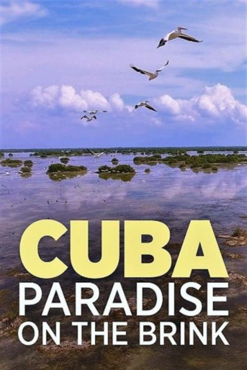 Movie poster for Cuba, A Paradise on the Brink (2017)