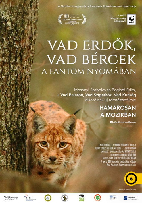 Movie poster for Wild forests, wild crags - In search of the phantom (2020)