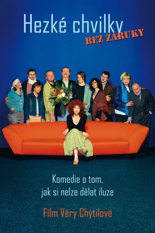 Movie poster for Pleasant Moments (2006)