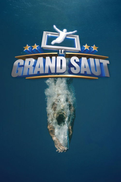 Le grand saut poster