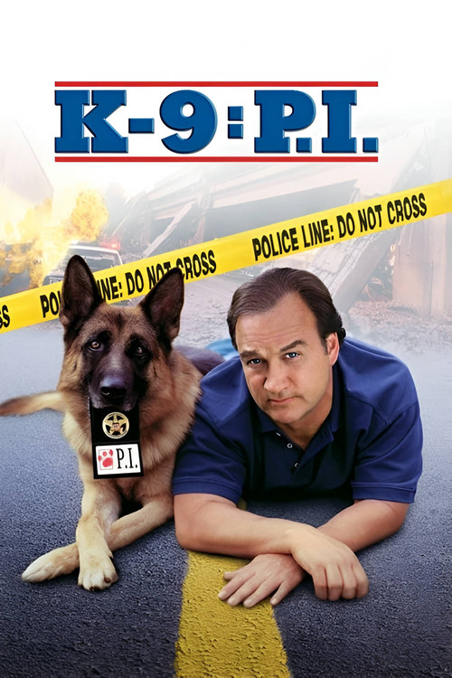 Movie poster for K-9: P.I. (2002)