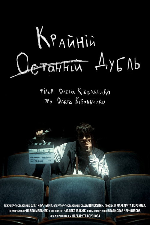 Movie poster for The Last (Final) Take (2024)