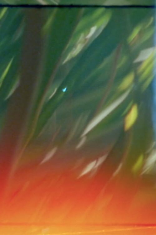 Movie poster for The Floating Gardens (2023)