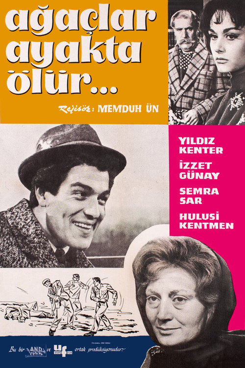 Movie poster for Ağaçlar Ayakta Ölür (1964)