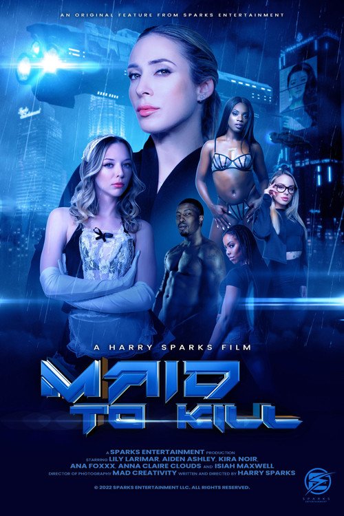 Movie poster for Maid to Kill (2022)