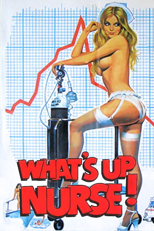 Movie poster for What's Up Nurse (1977)