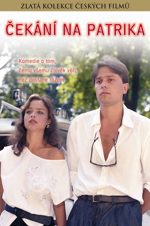 Movie poster for Waiting For Patrick (1990)