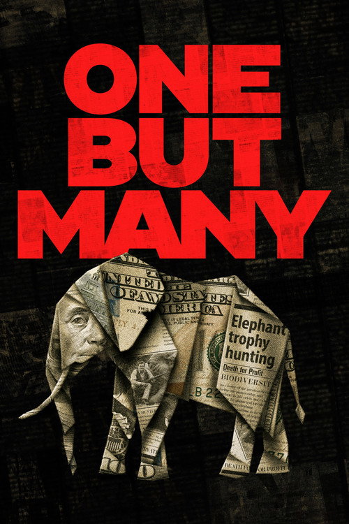Movie poster for One But Many (2025)