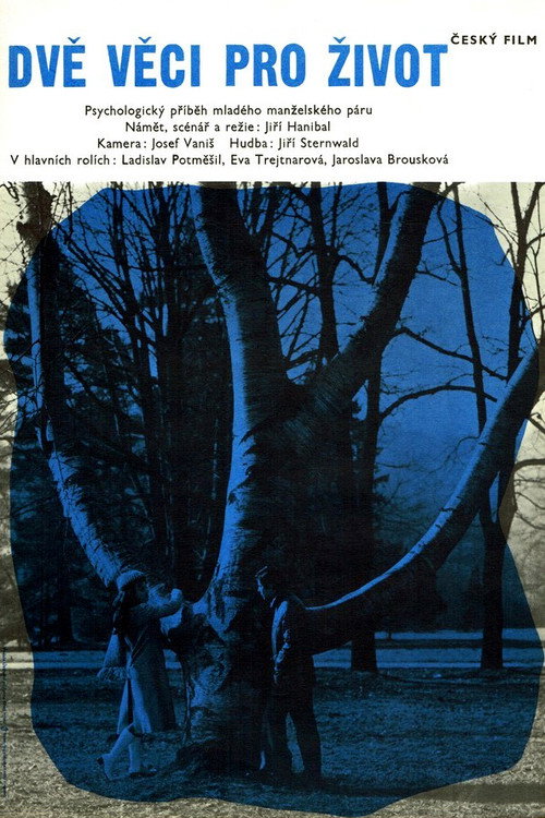 Movie poster for Dvě věci pro život (1973)