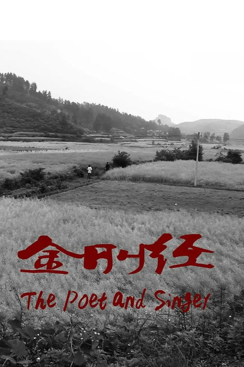 Movie poster for The Poet and Singer (2012)