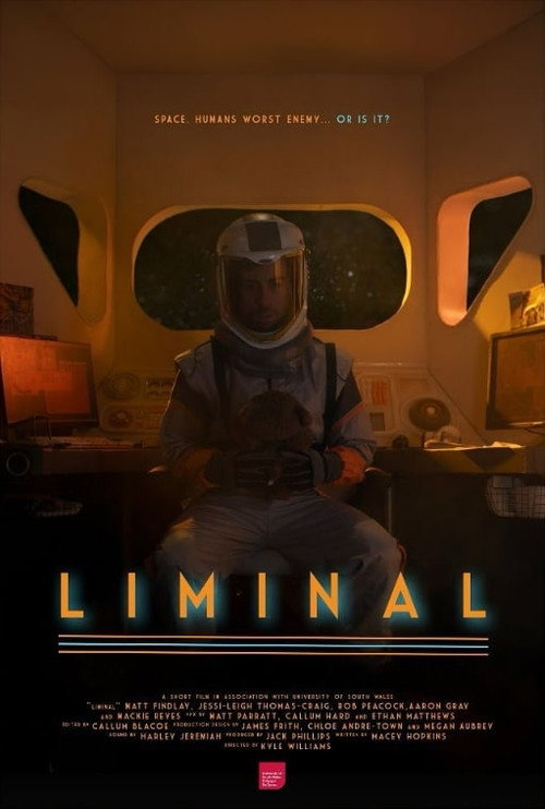 Movie poster for Liminal (2024)