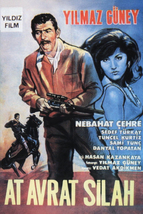 Movie poster for Horse, Woman and Gun (1966)