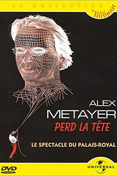 Movie poster for Alex Metayer perd la tête (2001)