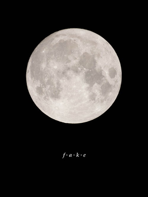 Movie poster for Fake (2025)