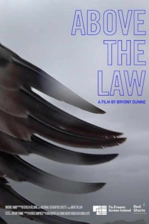 Movie poster for Above the Law (2020)