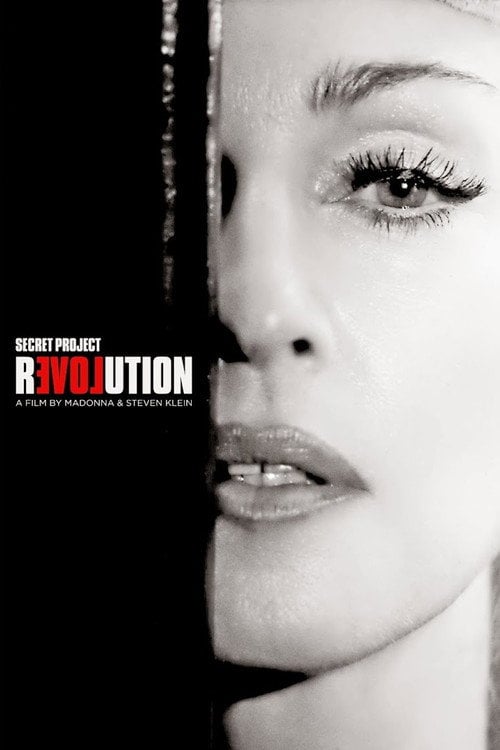 Movie poster for Secret Project Revolution (2013)