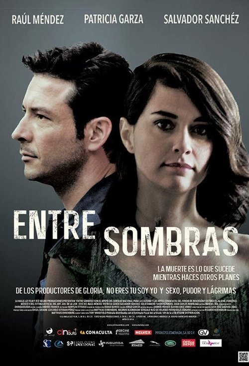 Movie poster for Between Shadows (2015)