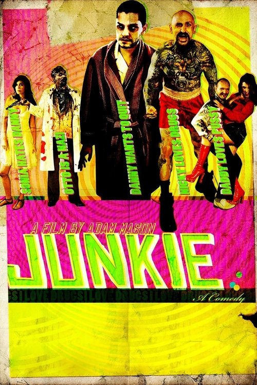 Movie poster for Junkie (2012)