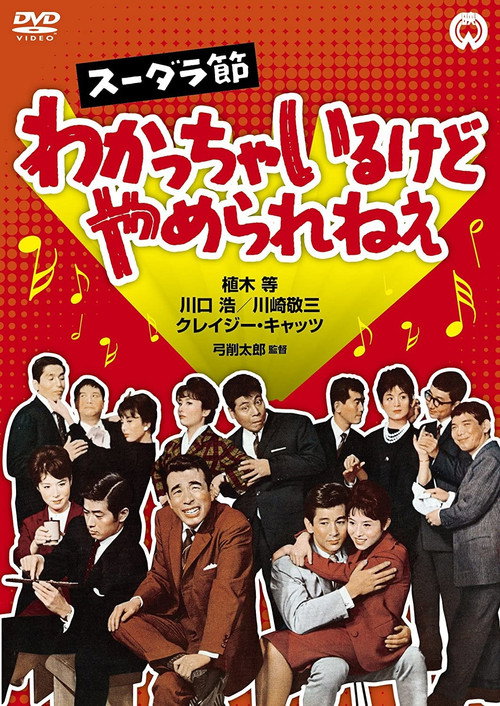 Movie poster for Sudara Festival: I Understand, but I can't Stop (1962)
