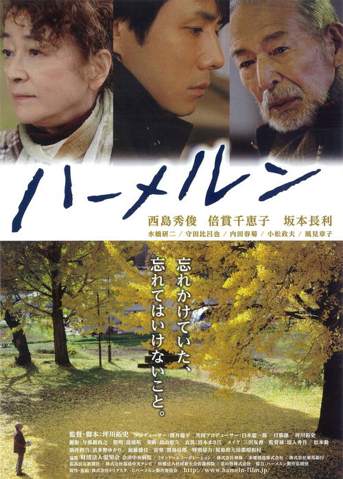 Movie poster for Hameln (2013)