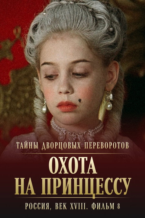 Movie poster for Secrets of Palace coup d'etat. Russia, 18th century. Film №8. Part 2. Hunting for a Princess (2011)