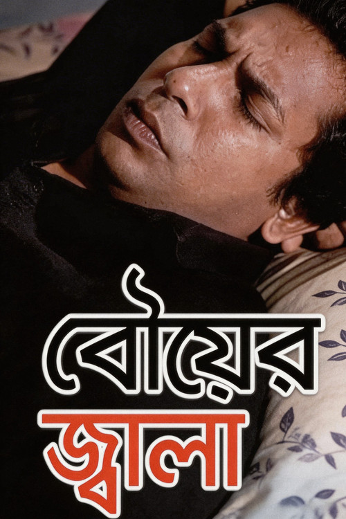 বৌয়ের জ্বালা poster
