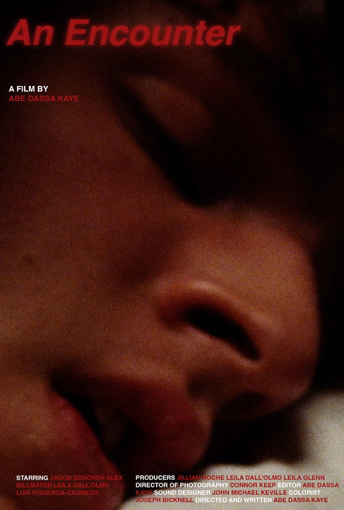 Movie poster for An Encounter (2026)