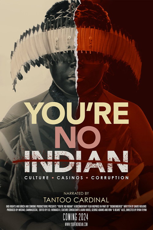 Movie poster for You’re No Indian (2024)