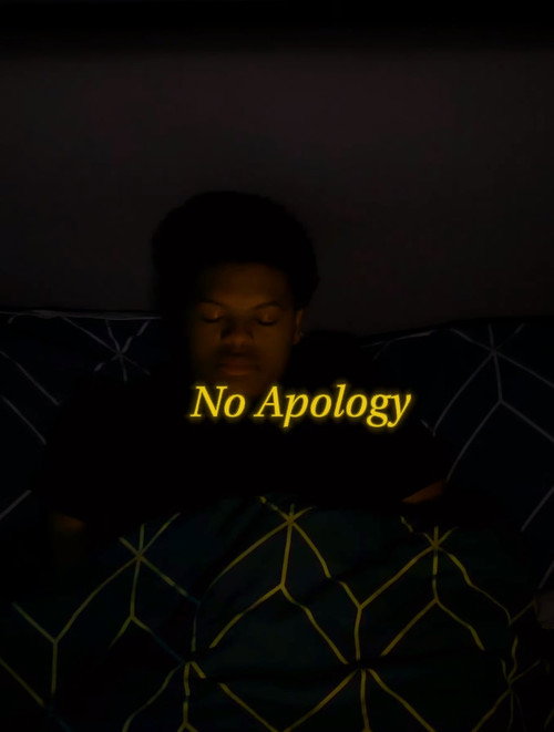Movie poster for No Apology
