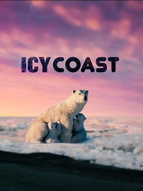 Movie poster for Icy Coasts (2020)