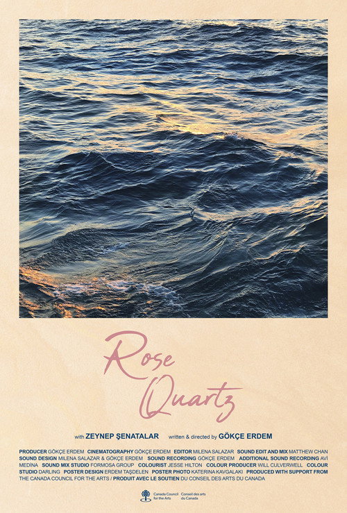 Movie poster for Rose Quartz (2024)