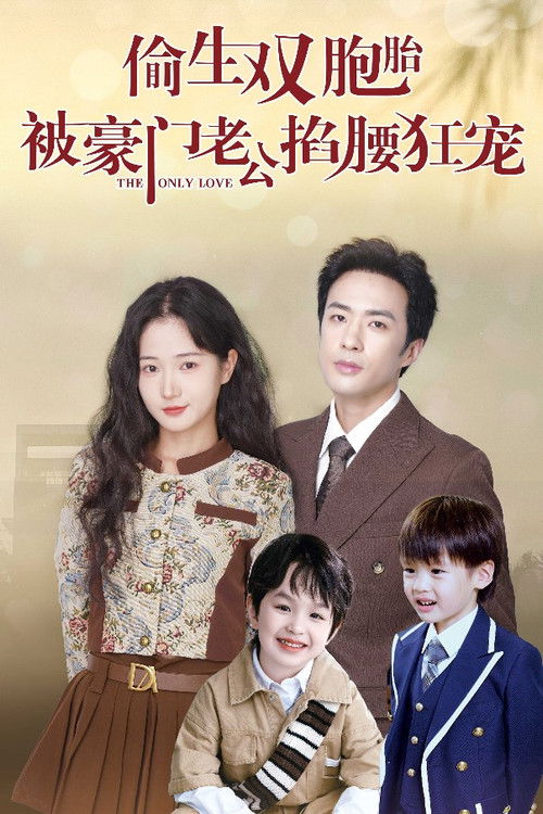 偷生双胞胎，被豪门老公掐腰狂宠 poster