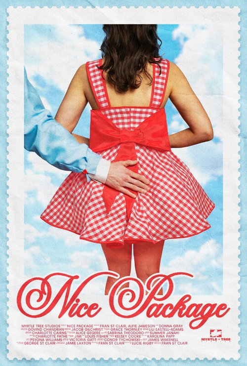 Movie poster for Nice Package (2025)