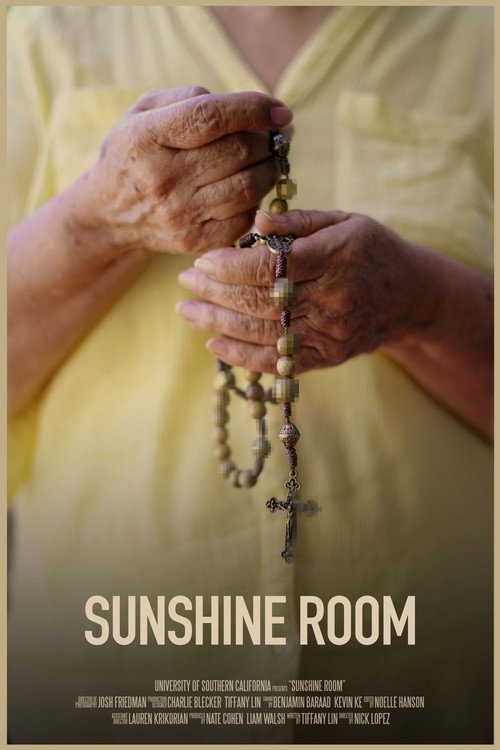 Movie poster for Sunshine Room (2020)