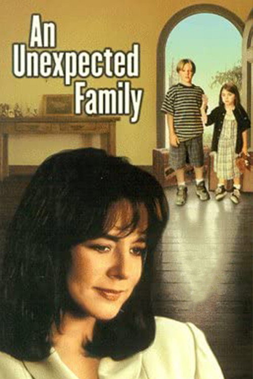 Movie poster for An Unexpected Family (1996)