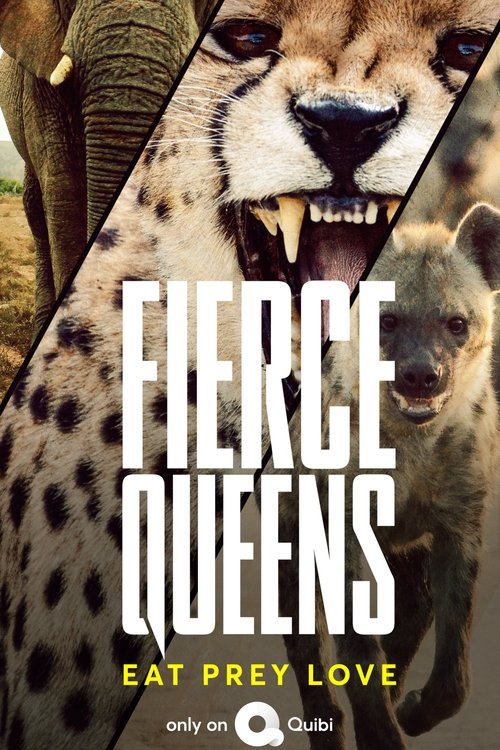 Fierce Queens poster