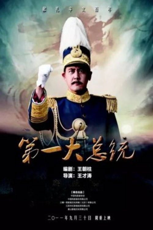 Movie poster for The First President (2011)