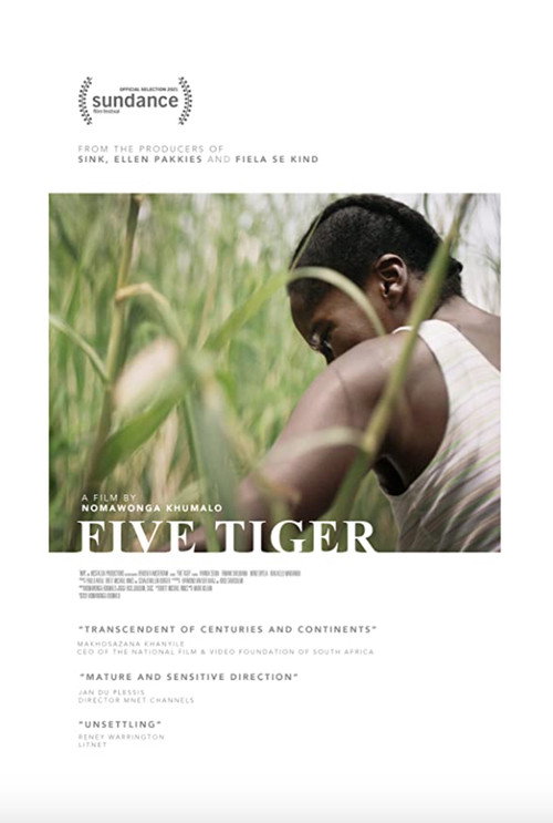 Movie poster for Five Tiger (2020)