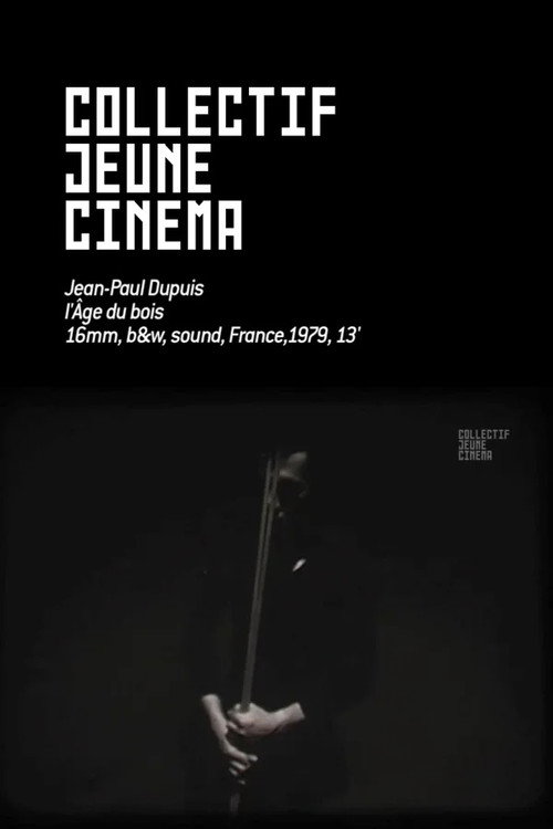 Movie poster for L'Age du bois (1979)