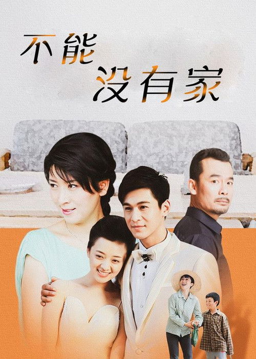 不能没有家 poster