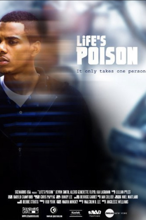 Movie poster for Life's Poison (2011)