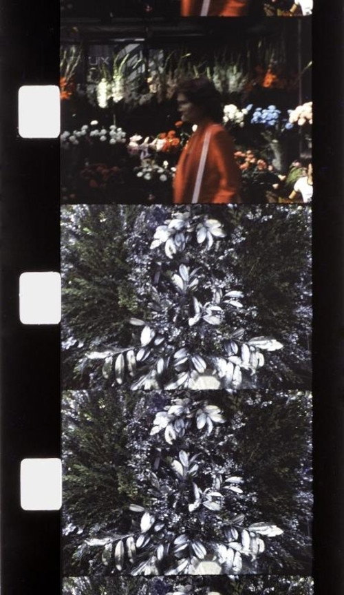 Movie poster for Chutes de Foire du Trône (1981)